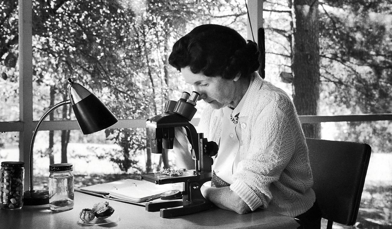 Le solite ignote: Rachel Carson